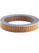 Ryco Air Filter