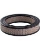 Ryco Air Filter