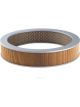 Ryco Air Filter