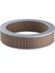 Ryco Air Filter