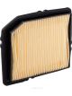 Ryco Air Filter