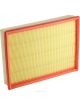 Ryco Air Filter