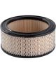 Ryco Air Filter