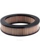 Ryco Air Filter