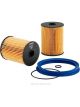 Ryco Fuel Filter