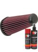 K&N Air Filter E-0666 + Aerosol Recharge Kit
