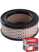 Ryco Air Filter A109 + Service Stickers