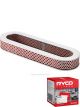 Ryco Air Filter A1201 + Service Stickers