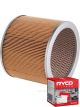 Ryco Air Filter A1207 + Service Stickers