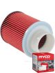 Ryco Air Filter A1246 + Service Stickers