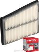 Ryco Air Filter A1247 + Service Stickers