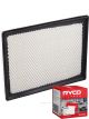 Ryco Air Filter A1358 + Service Stickers