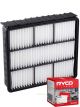Ryco Air Filter A1359 + Service Stickers