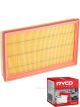 Ryco Air Filter A1362 + Service Stickers