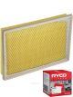 Ryco Air Filter A1379 + Service Stickers