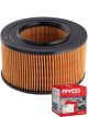 Ryco Air Filter A1380 + Service Stickers