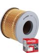 Ryco Air Filter A1397 + Service Stickers