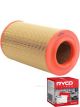 Ryco Air Filter A1456 + Service Stickers