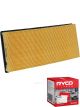Ryco Air Filter A1477 + Service Stickers