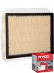 Ryco Air Filter A1573 + Service Stickers