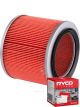 Ryco Air Filter A1639 + Service Stickers