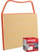 Ryco Air Filter A1787 + Service Stickers