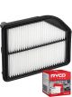Ryco Air Filter A1807 + Service Stickers