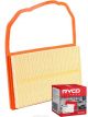 Ryco Air Filter A1821 + Service Stickers