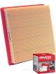 Ryco Air Filter A1847 + Service Stickers