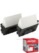 Ryco Air Filter A1940 + Service Stickers