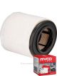 Ryco Air Filter A1953 + Service Stickers