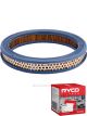 Ryco Air Filter A224 + Service Stickers
