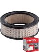 Ryco Air Filter A231 + Service Stickers