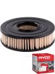 Ryco Air Filter A256 + Service Stickers