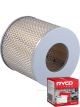 Ryco Air Filter A451 + Service Stickers