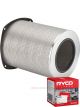 Ryco Air Filter Heavy Duty HDA6010 + Service Stickers