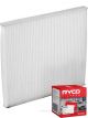 Ryco Cabin Air Filter RCA173P + Service Stickers