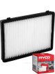 Ryco Cabin Air Filter RCA194P + Service Stickers