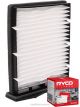 Ryco Cabin Air Filter RCA259P + Service Stickers