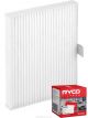 Ryco Cabin Air Filter RCA294P + Service Stickers