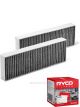 Ryco Cabin Air Filter N99 MicroShield RCA341C + Service Stickers