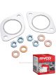 Ryco Diesel Particulate Filter RPF271 + Service Stickers