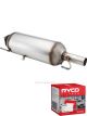 Ryco Diesel Particulate Filter RPF299 + Service Stickers