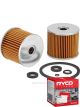 Ryco Fuel Filter R2424P + Service Stickers