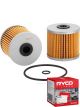 Ryco Fuel Filter R2432PA + Service Stickers