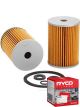 Ryco Fuel Filter R2440P + Service Stickers