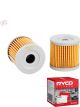 Ryco Motorcycle Oil Filter RMC113 + Service Stickers
