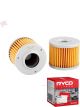 Ryco Motorcycle Oil Filter RMC120 + Service Stickers