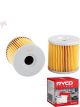 Ryco Motorcycle Oil Filter RMC137 + Service Stickers