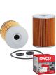 Ryco Oil Filter R10P + Service Stickers